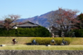 京都新聞写真コンテスト　チャリンチャリン