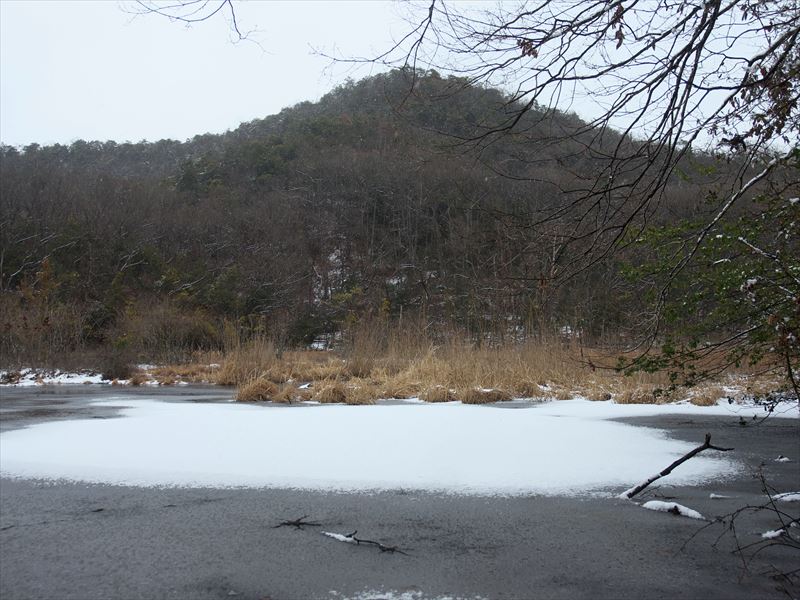 深泥池