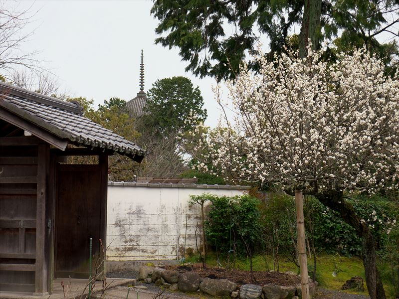 西雲院