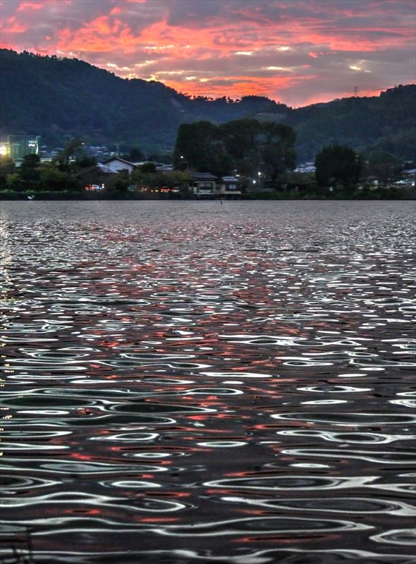 広沢池夕景６