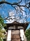 梅とお堂＠霊鑑寺