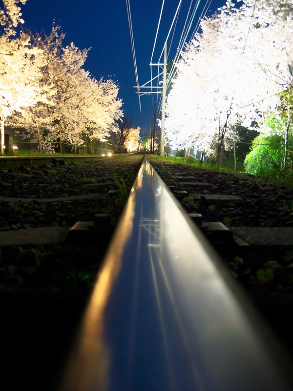 桜トンネル貫くレール＠嵐電
