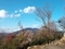 大文字山から見る比叡山