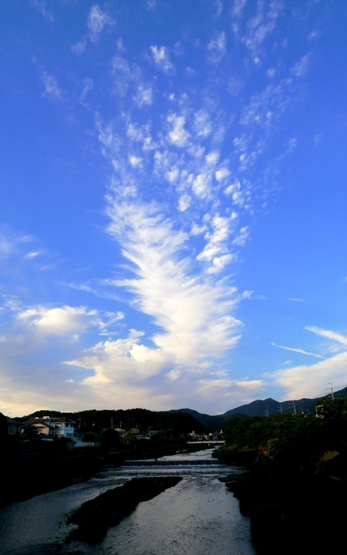 立ち上がる雲＠高野川