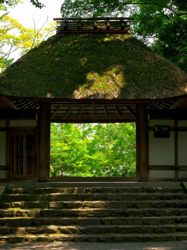 緑の窓＠法然院