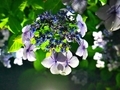 20190621230620