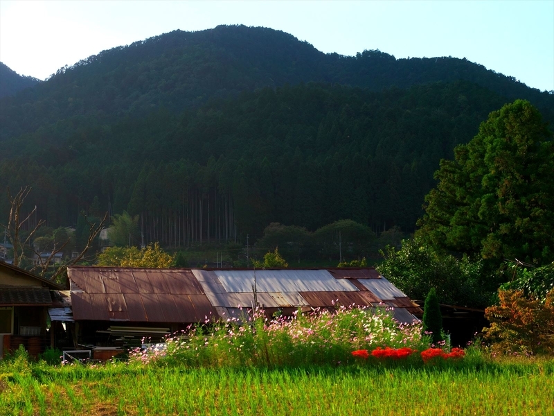 秋の山里＠大原