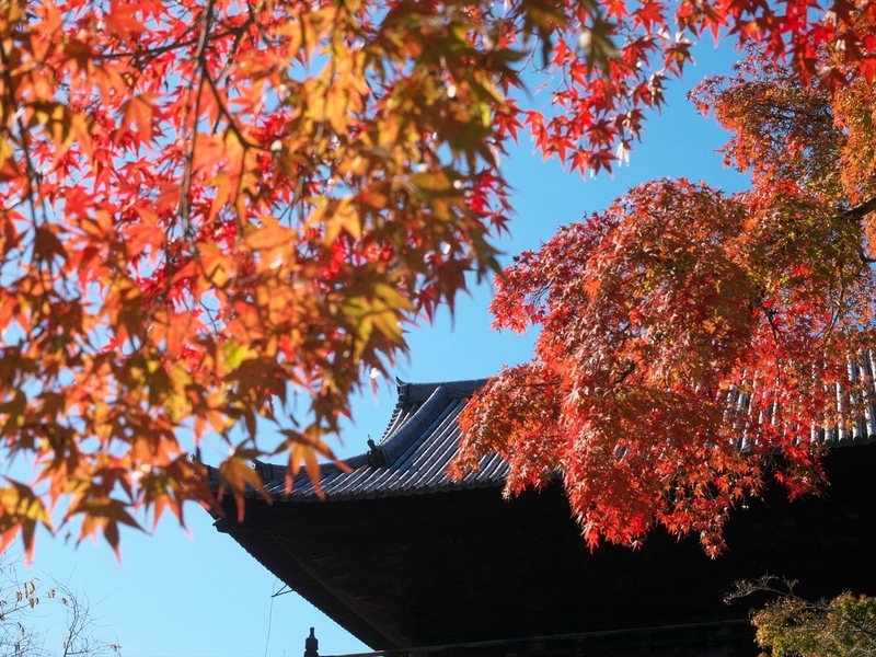 南禅寺山門と紅葉