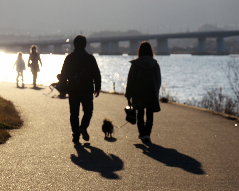 湖畔の散歩道＠琵琶湖