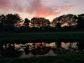 鴨川夕景