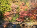 三宅八幡にて
