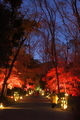 下鴨神社にて
