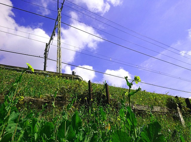 f:id:us32:20200302115415j:image