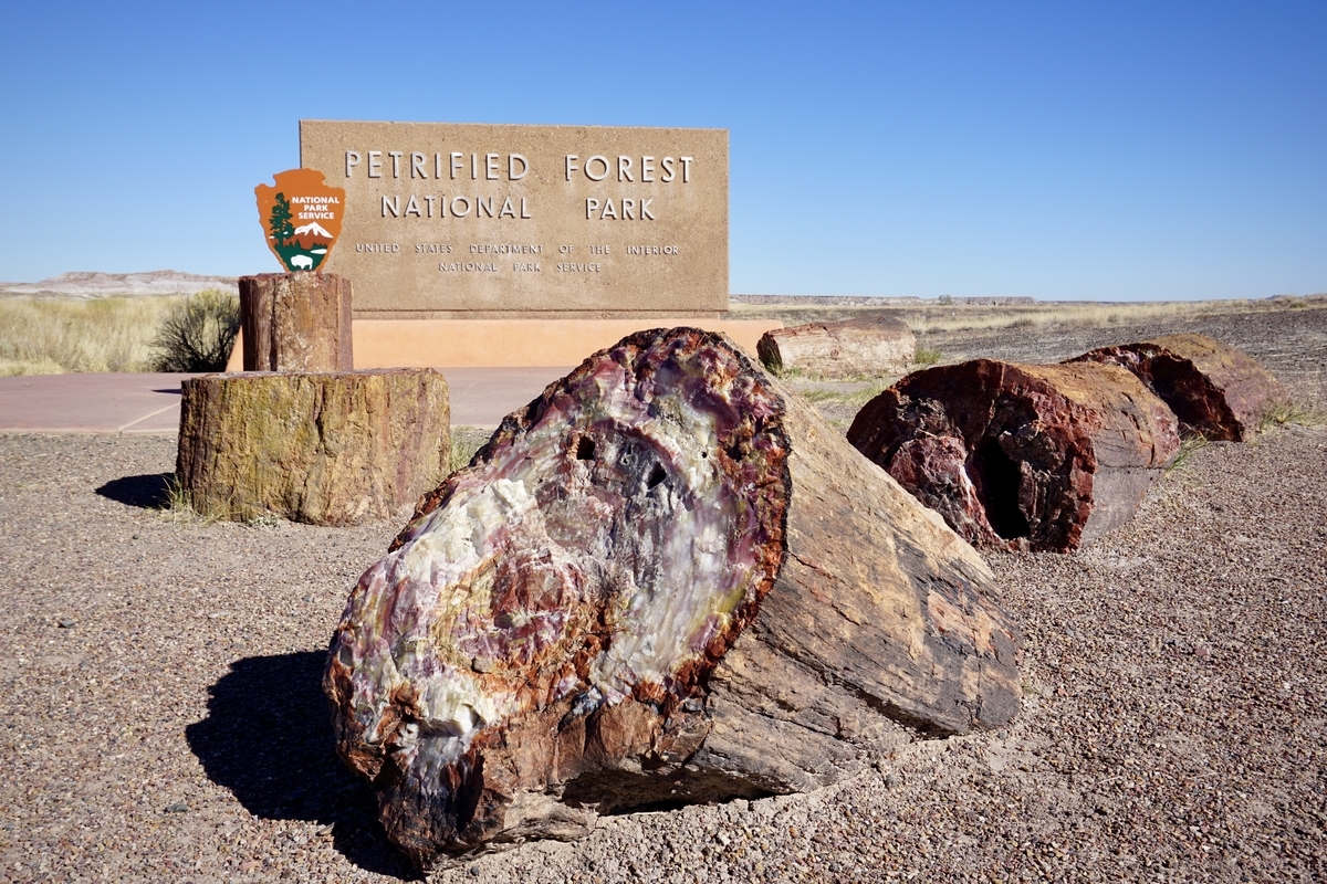 週末セドナ旅】#3 日帰り観光｜化石の森国立公園・メテオクレーター
