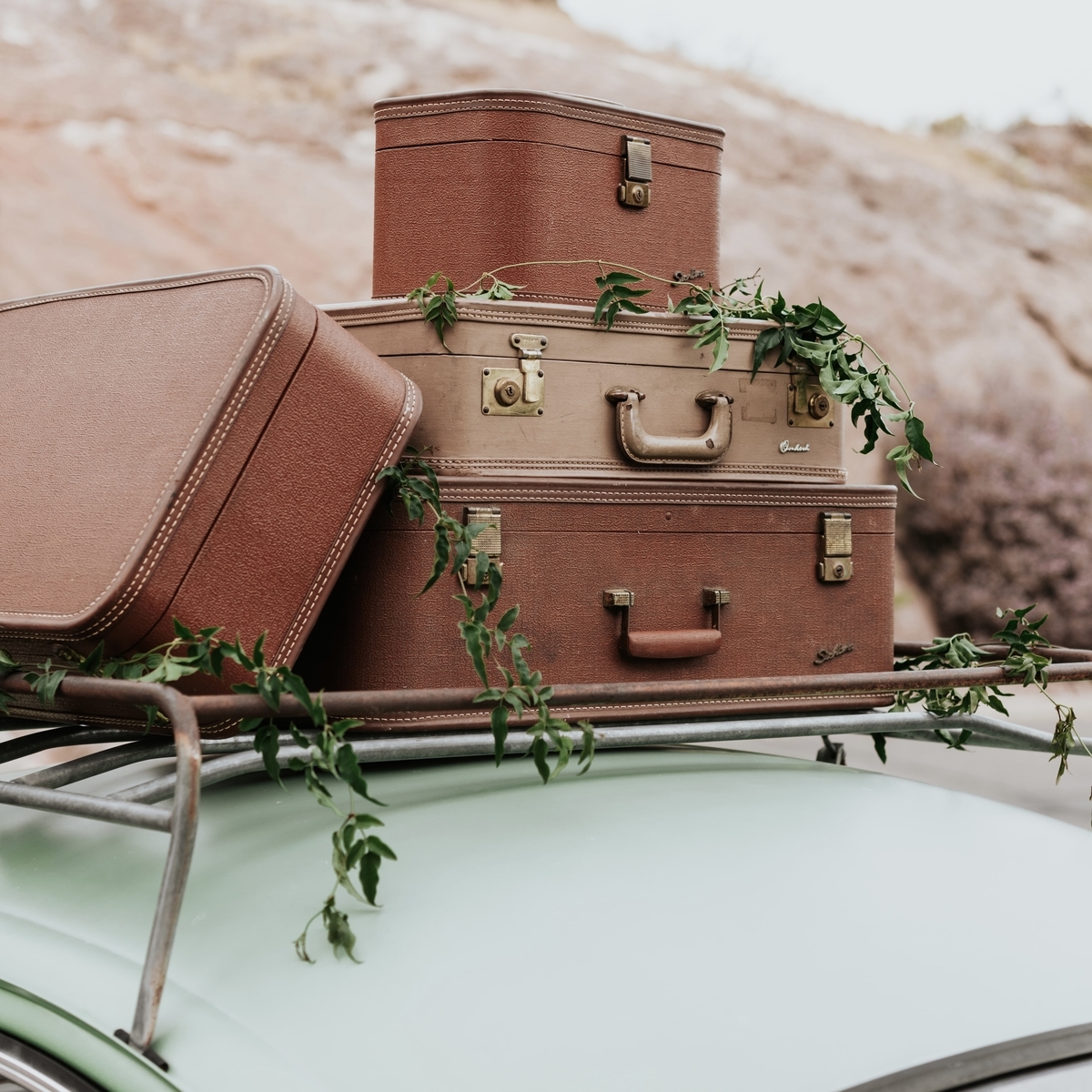 22最新 おすすめ アメリカ一時帰国みやげ San Jose ゆとり駐在妻の備忘録 22最新 おすすめ アメリカ一時帰国みやげ San Jose ゆとり駐在妻の備忘録