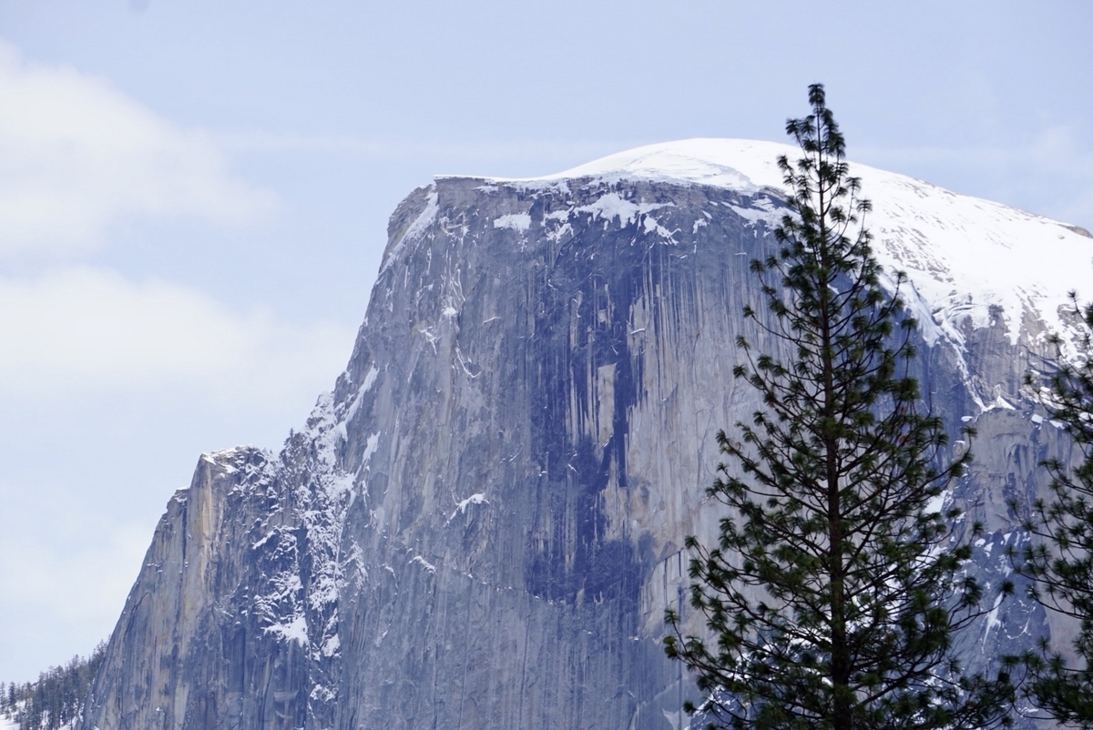 雪のヨセミテ国立公園へ - San Jose✍︎ ゆとり駐在妻の備忘録