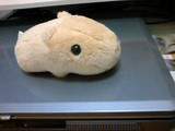 f:id:usa-kounosuke:20061017000011j:image