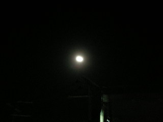 f:id:usa-kounosuke:20070925204433j:image