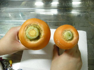 f:id:usa-kounosuke:20071003203205j:image