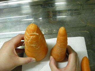 f:id:usa-kounosuke:20071003203228j:image