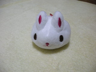 f:id:usa-kounosuke:20071224001454j:image