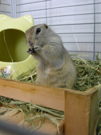 f:id:usa-kounosuke:20090822135803j:image:h360