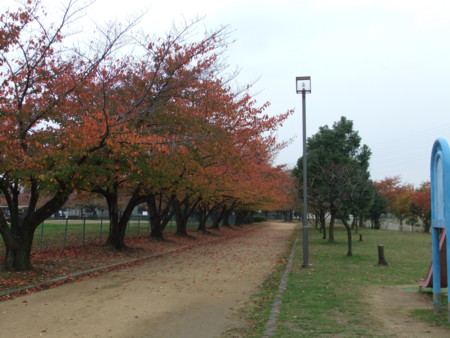 f:id:usa-kounosuke:20111123150845j:image:w360