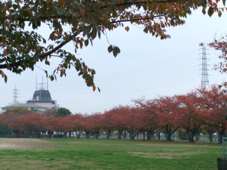f:id:usa-kounosuke:20111123152641j:image:w360