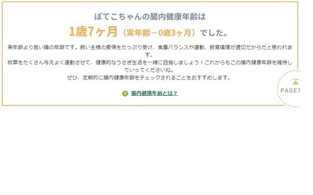 f:id:usa-kounosuke:20190920095622j:image