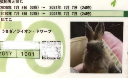 f:id:usa-kounosuke:20200620173727j:image f:id:usa-kounosuke:20200620173727j:image