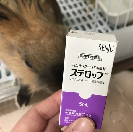 f:id:usa-kounosuke:20201016091226j:image f:id:usa-kounosuke:20201016091226j:image