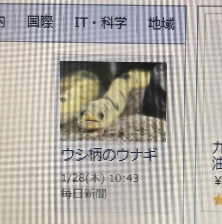 f:id:usa-kounosuke:20210129124148j:image