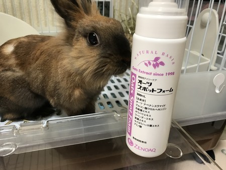 f:id:usa-kounosuke:20210304112645j:image
