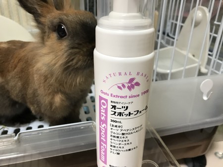 f:id:usa-kounosuke:20210304112700j:image