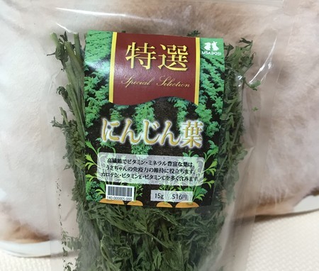 f:id:usa-kounosuke:20210503104700j:image