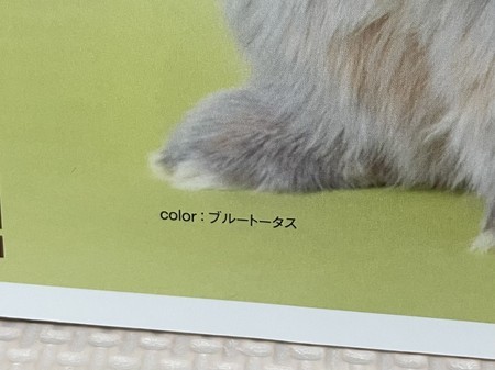 f:id:usa-kounosuke:20210508144120j:image