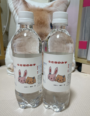 f:id:usa-kounosuke:20210508144159j:image