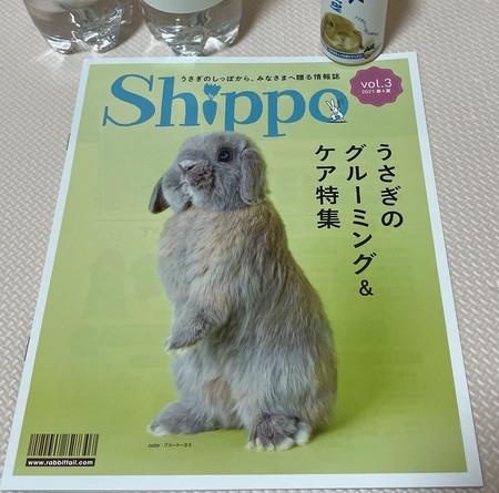 f:id:usa-kounosuke:20210508144224j:image