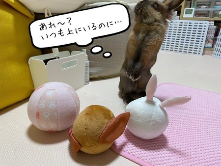 f:id:usa-kounosuke:20210609110310j:image