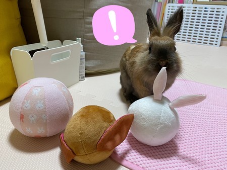 f:id:usa-kounosuke:20210609110329j:image