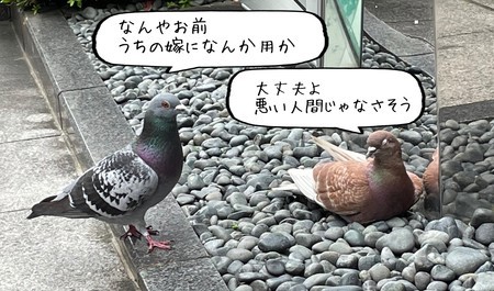 f:id:usa-kounosuke:20210611101747j:image