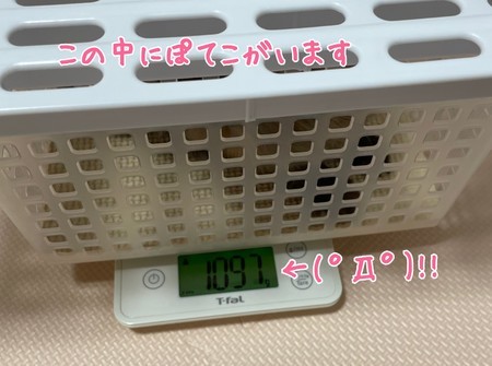 f:id:usa-kounosuke:20210617102903j:image
