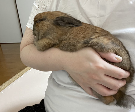 f:id:usa-kounosuke:20210630100041j:image