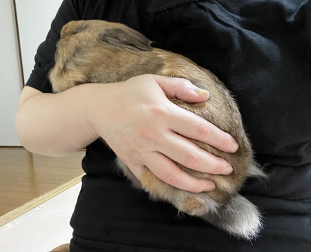 f:id:usa-kounosuke:20210909110049j:image