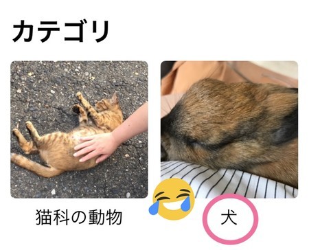 f:id:usa-kounosuke:20210909122532j:image