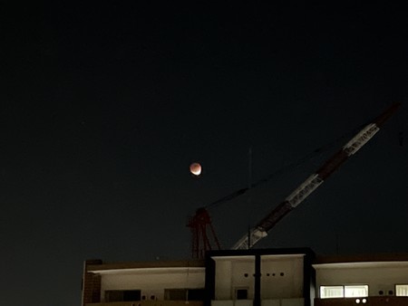 f:id:usa-kounosuke:20211122100144j:image