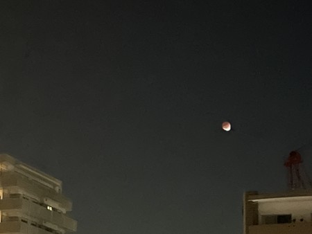 f:id:usa-kounosuke:20211122100155j:image