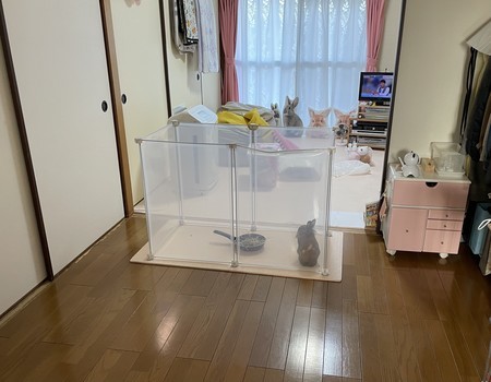 f:id:usa-kounosuke:20211202130152j:image
