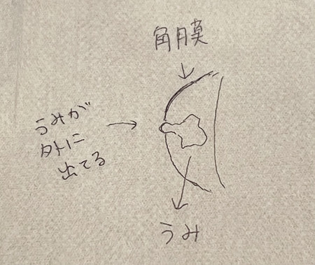 f:id:usa-kounosuke:20211216153845j:image