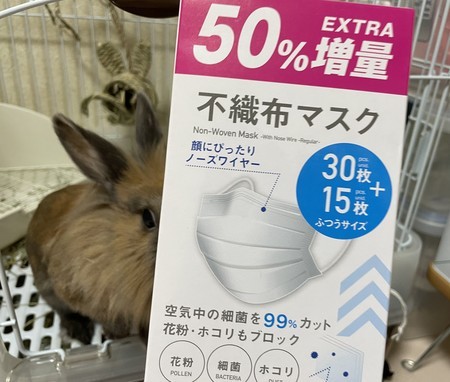 f:id:usa-kounosuke:20220307092533j:image